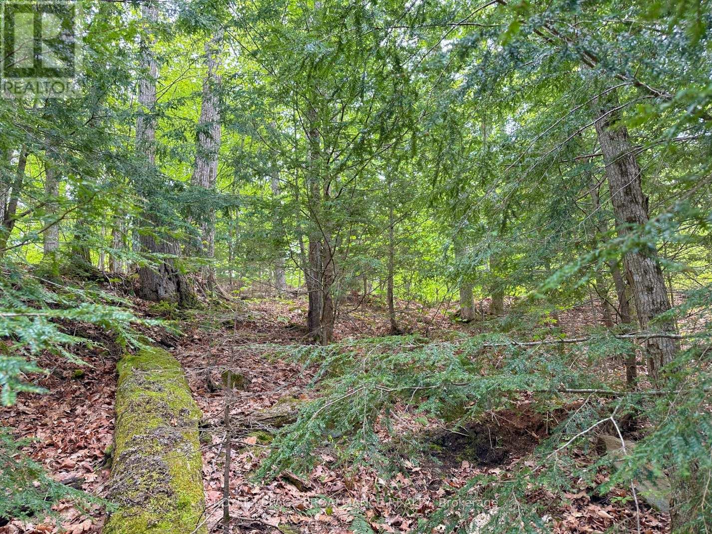 0 Granite Terrace Lane Property Photo 11