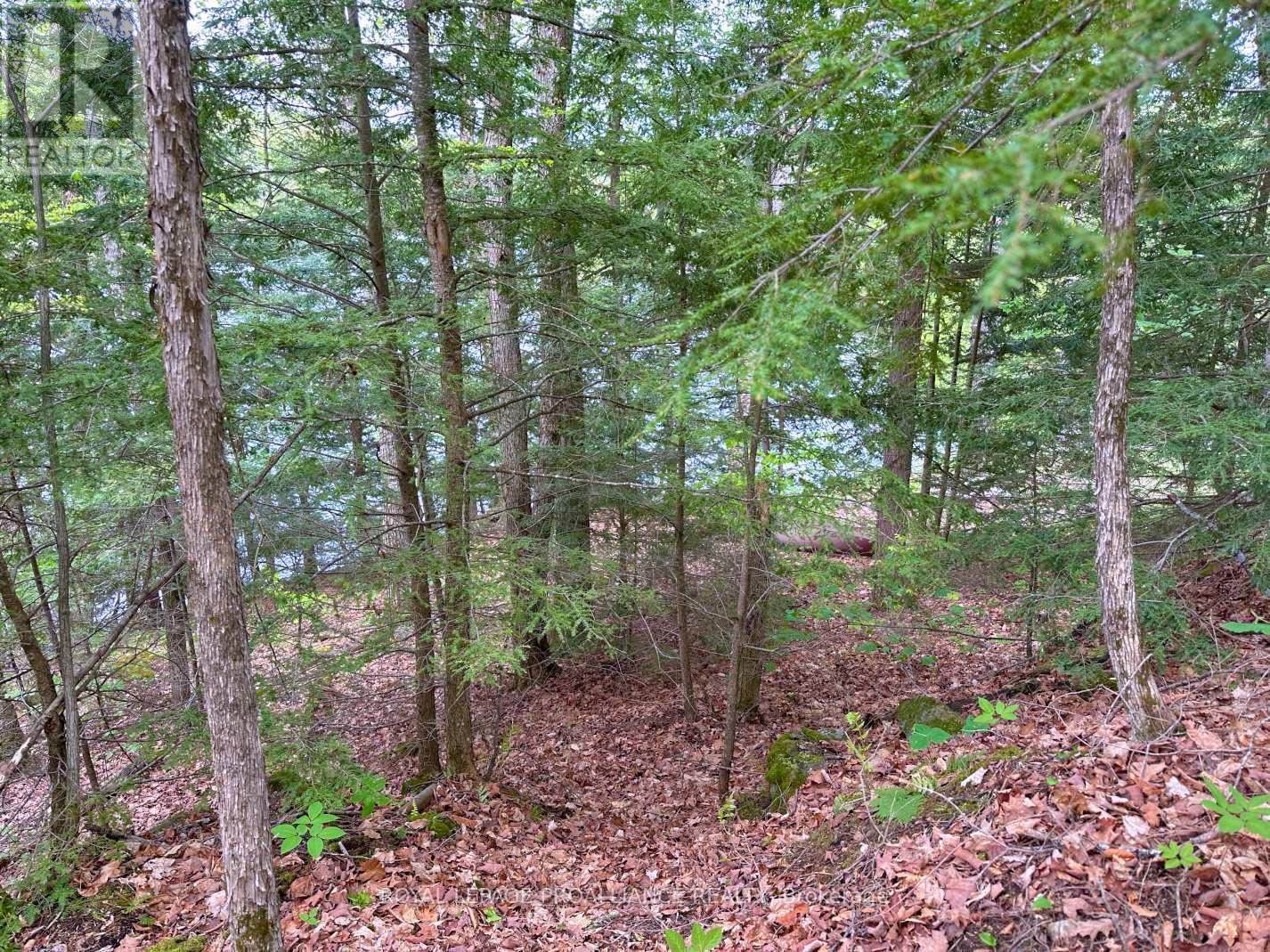 0 Granite Terrace Lane Property Photo 12