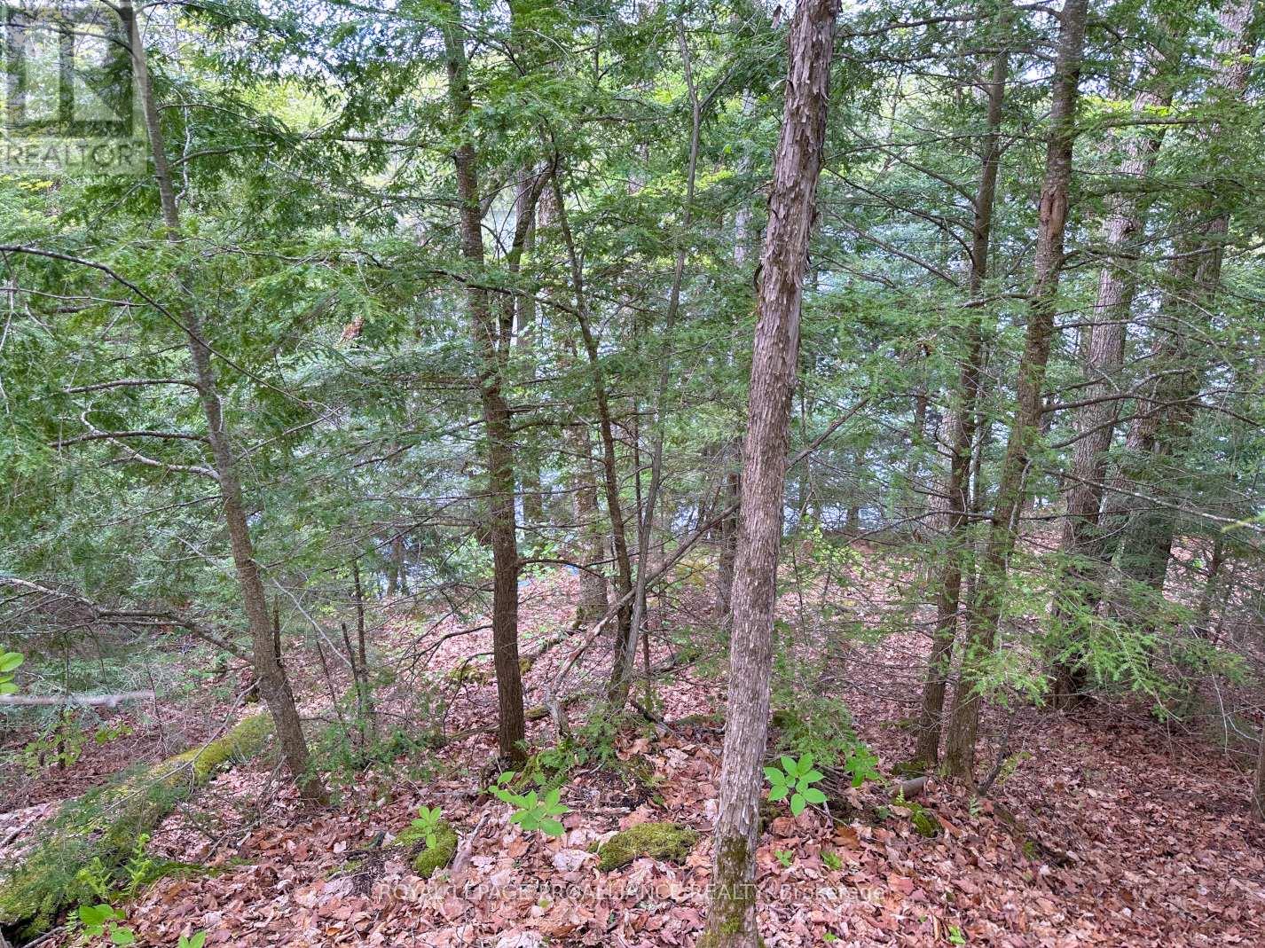 0 Granite Terrace Lane Property Photo 14