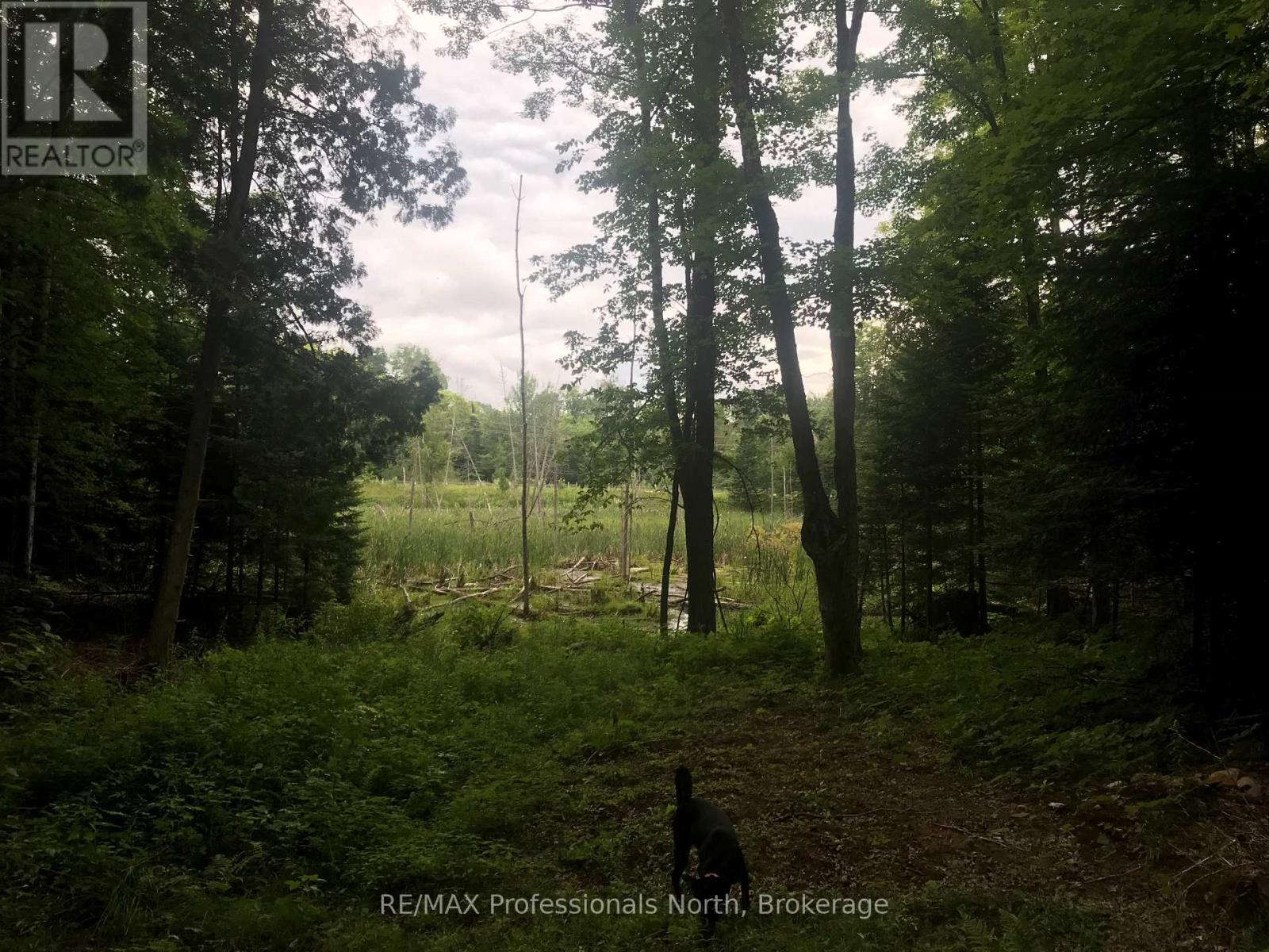 1645 South Lake Road Property Photo 9