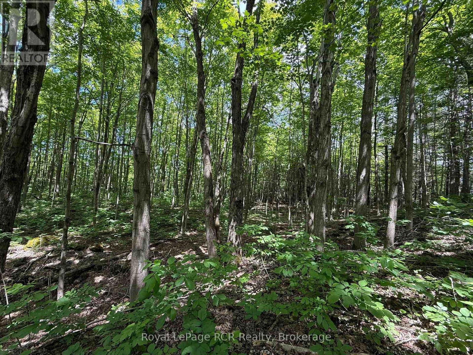 Lot 53/54 West Back Line Property Photo 19