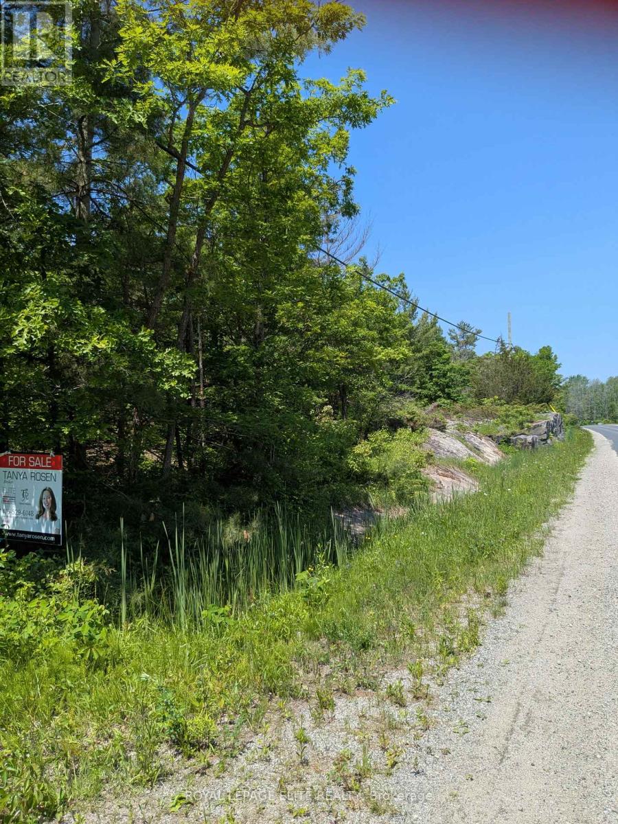 559 Honey Harbour Road Property Photo 3
