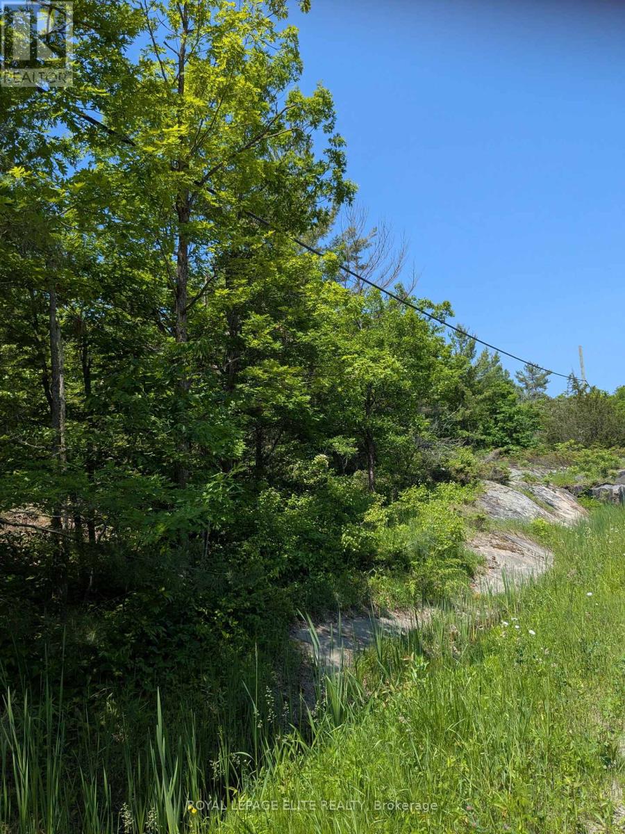 559 Honey Harbour Road Property Photo 4