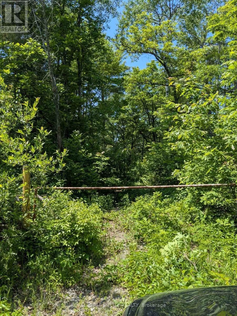 559 Honey Harbour Road Property Photo 5