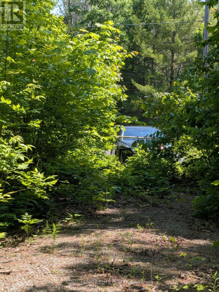 559 Honey Harbour Road Property Photo 6