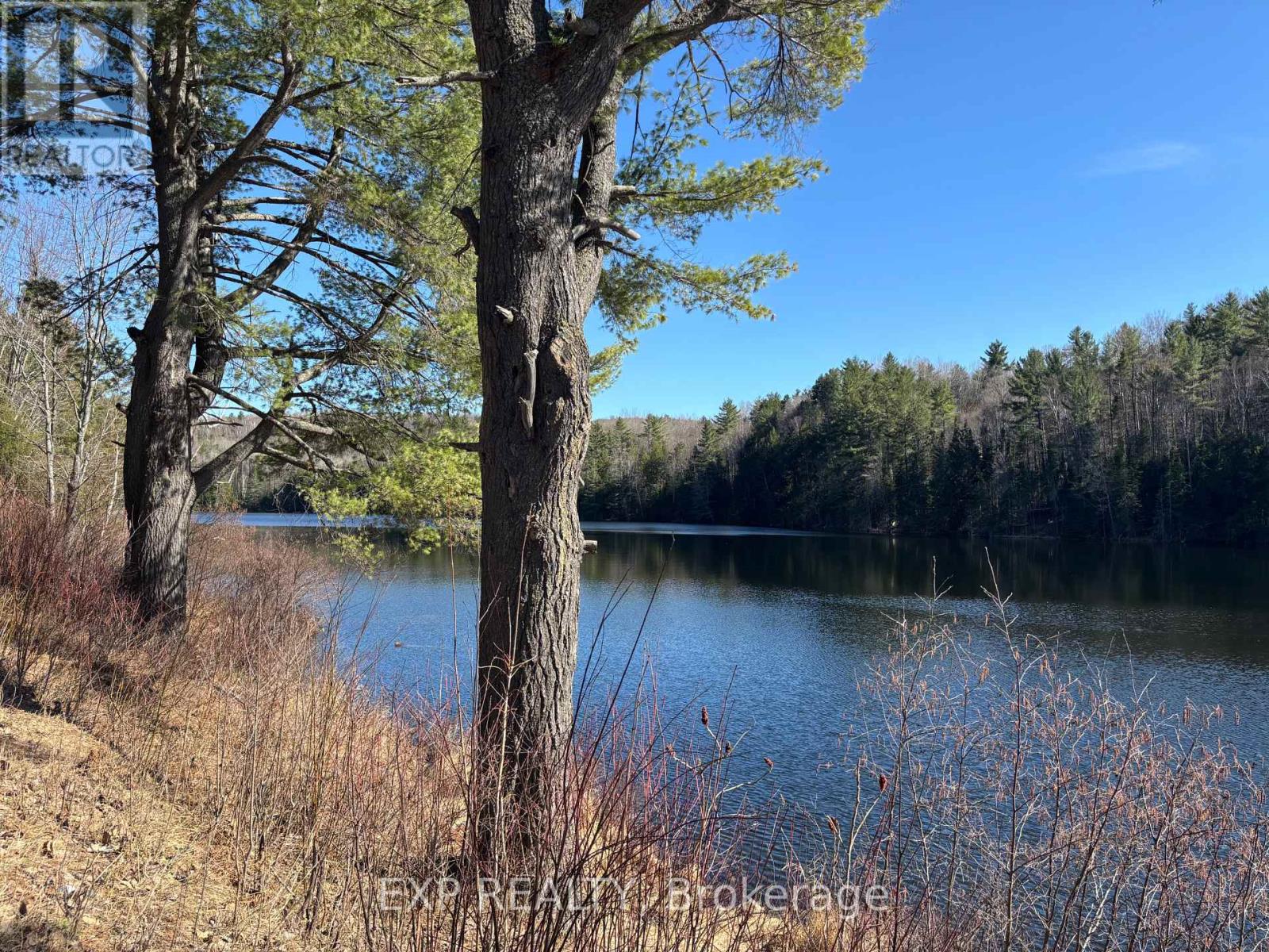 000 Opeongo Road Property Photo 1