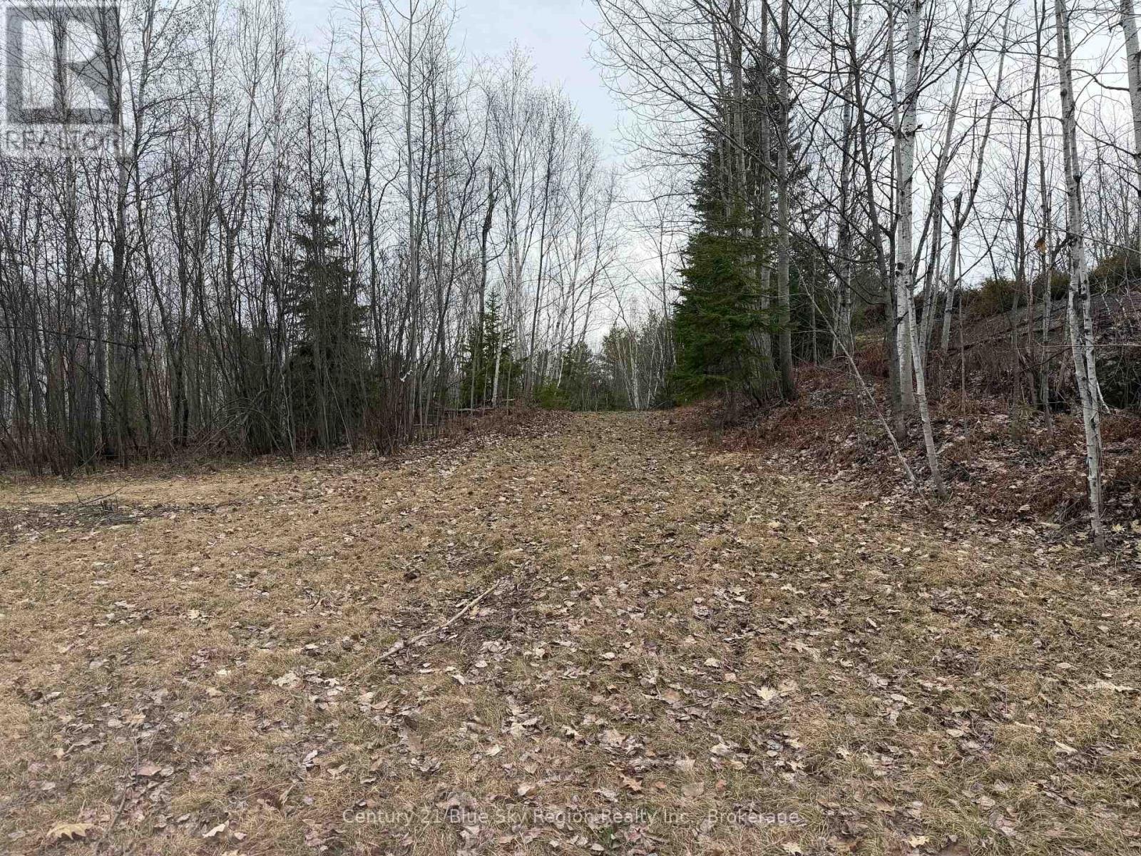 181 Ruston Road Property Photo 2