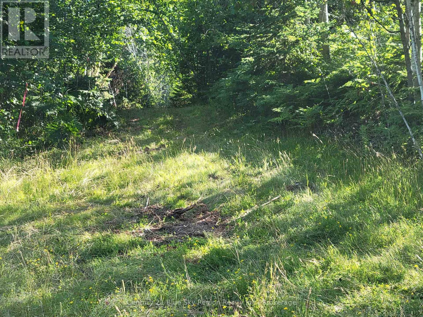 181 Ruston Road Property Photo 11