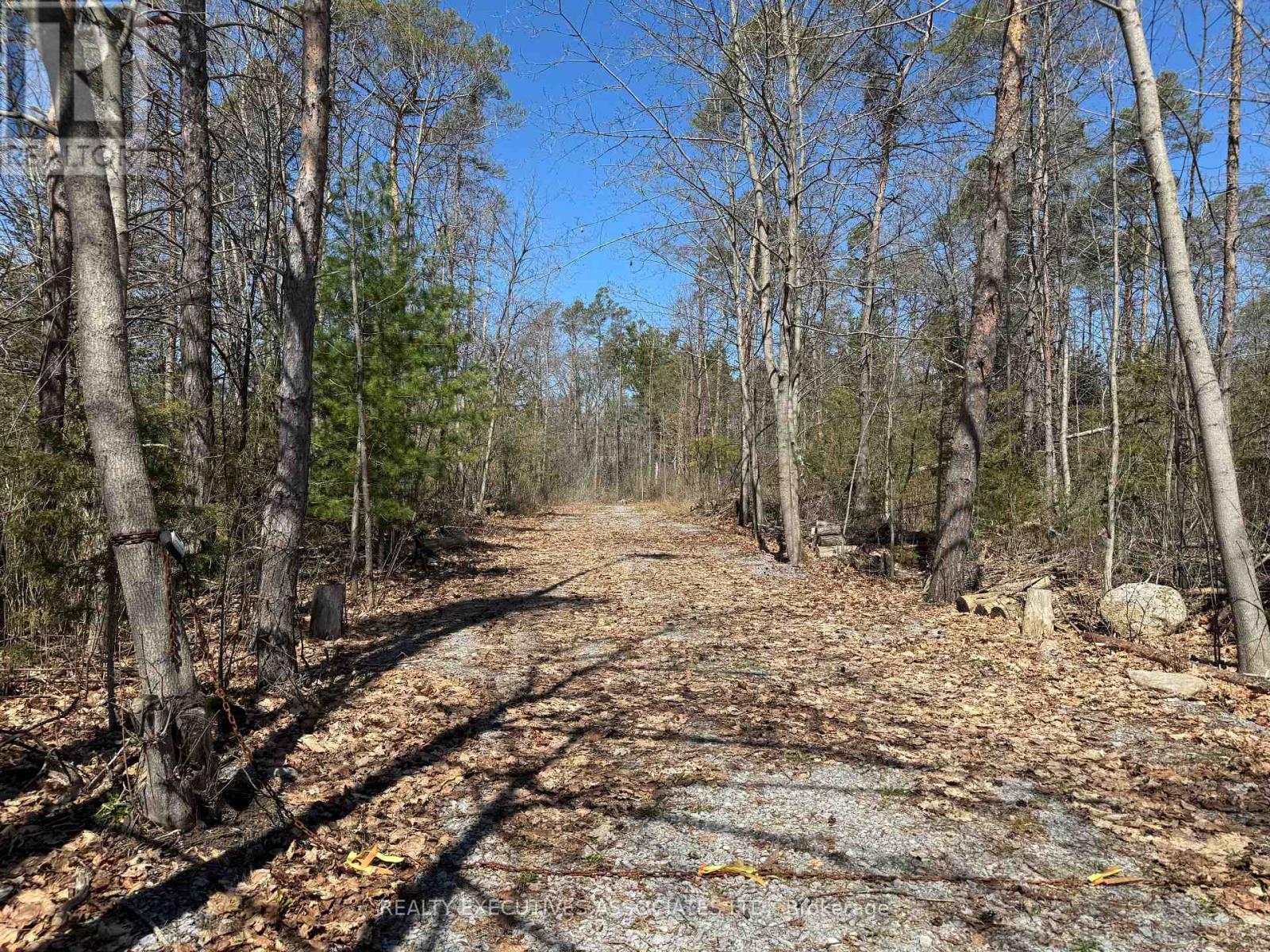 6192 County Rd 50 Property Photo 1