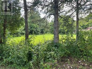 1161 EDGEWOOD ROAD Property Photo 1