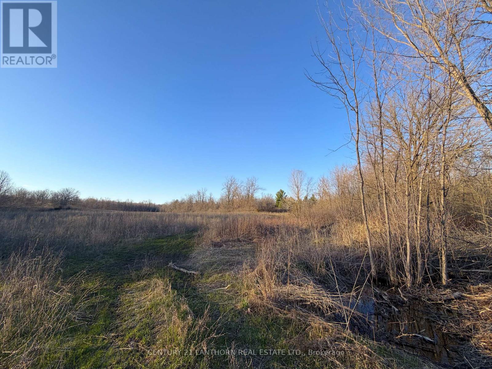 0 Reid Settlement Road Property Photo 2