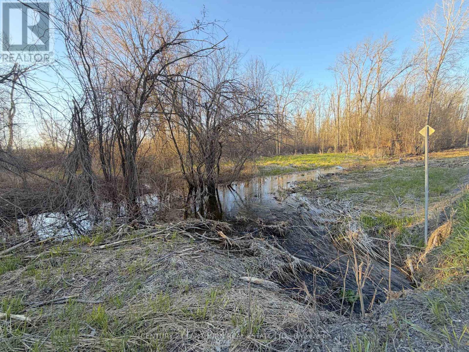 0 Reid Settlement Road Property Photo 10