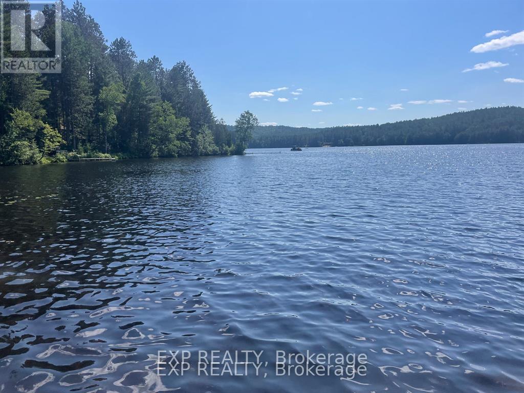 19 Gorny Lane Property Photo 10