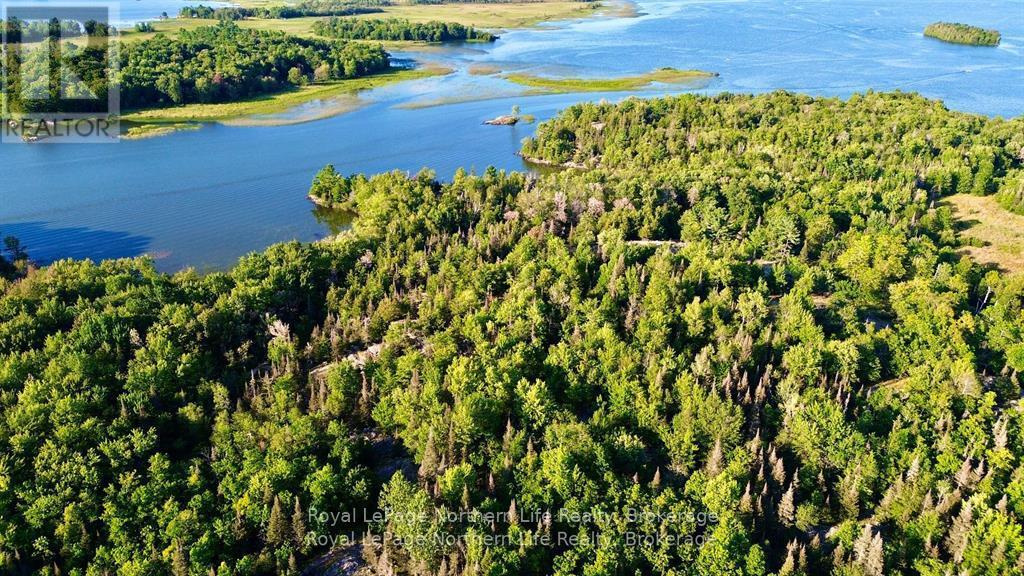 Lot 7 Smith Island Property Photo 4