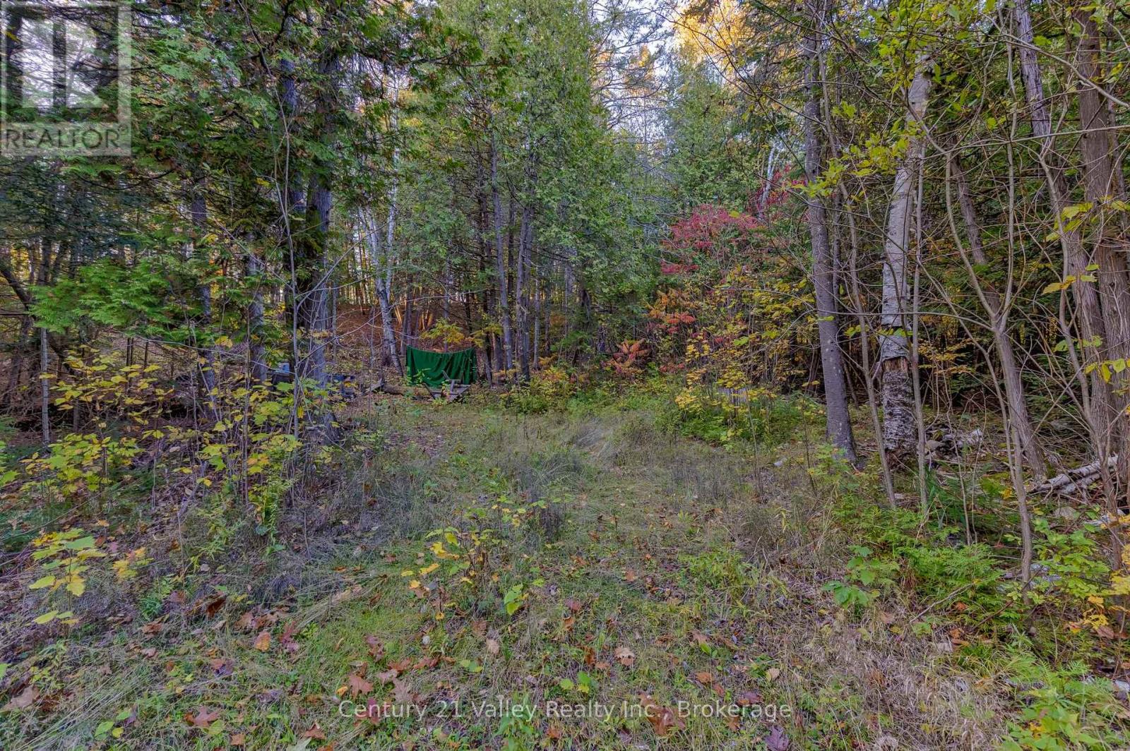 0 Richards Lane Property Photo 22