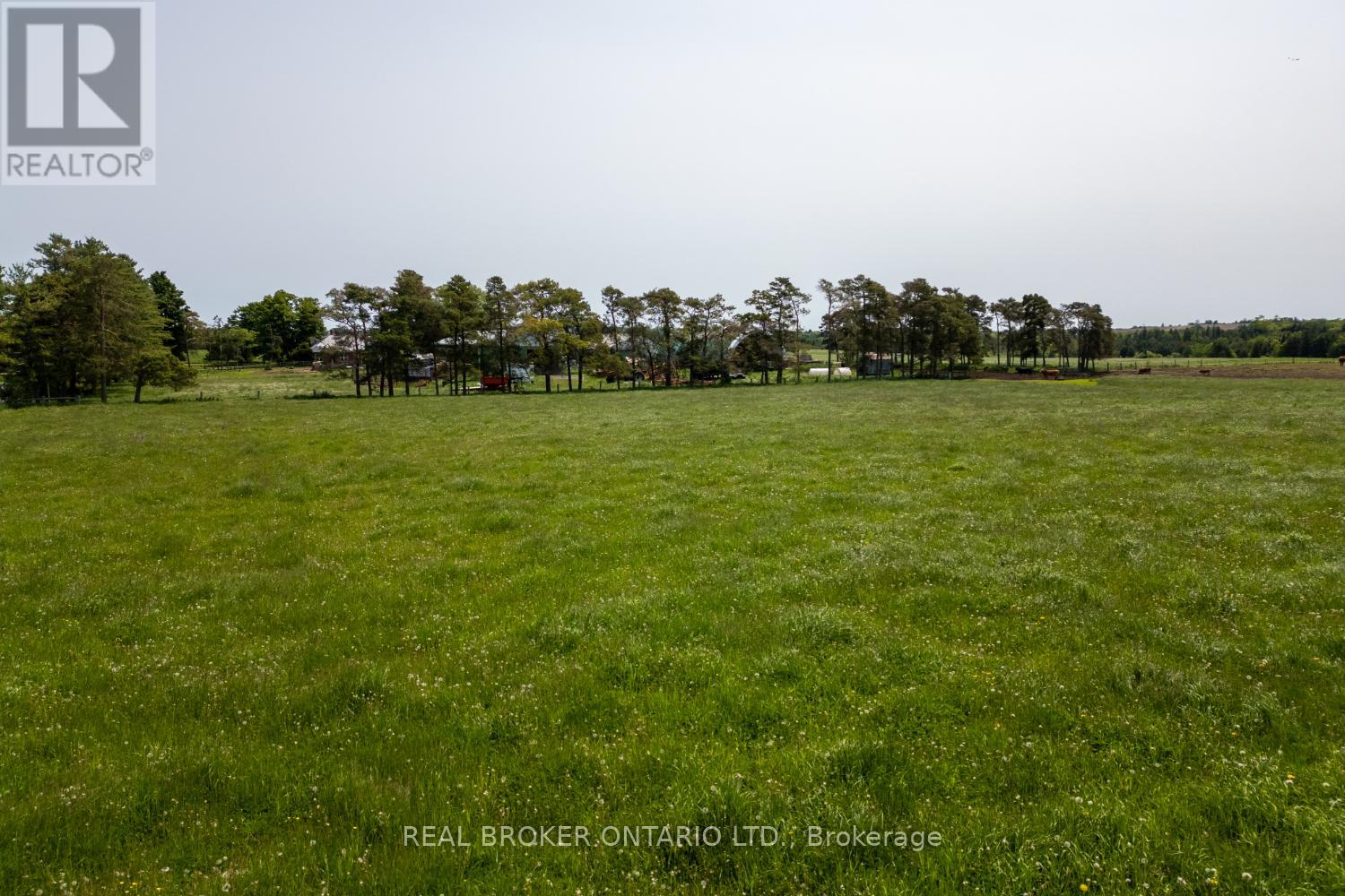 Pt Lt 22 Con 3 Cavan Pt 1 Property Photo 13