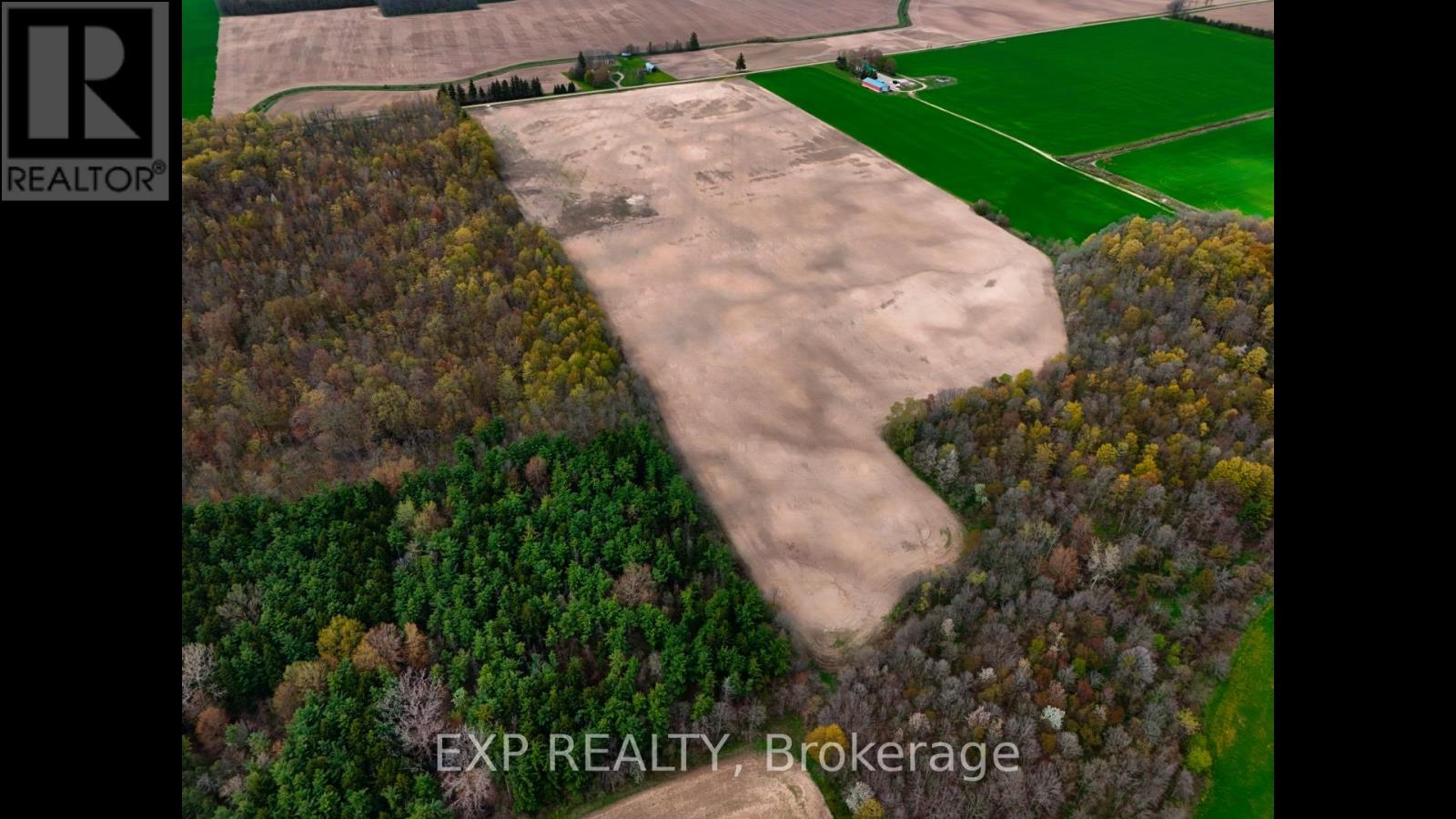 10187 Greystead Drive Property Photo 7