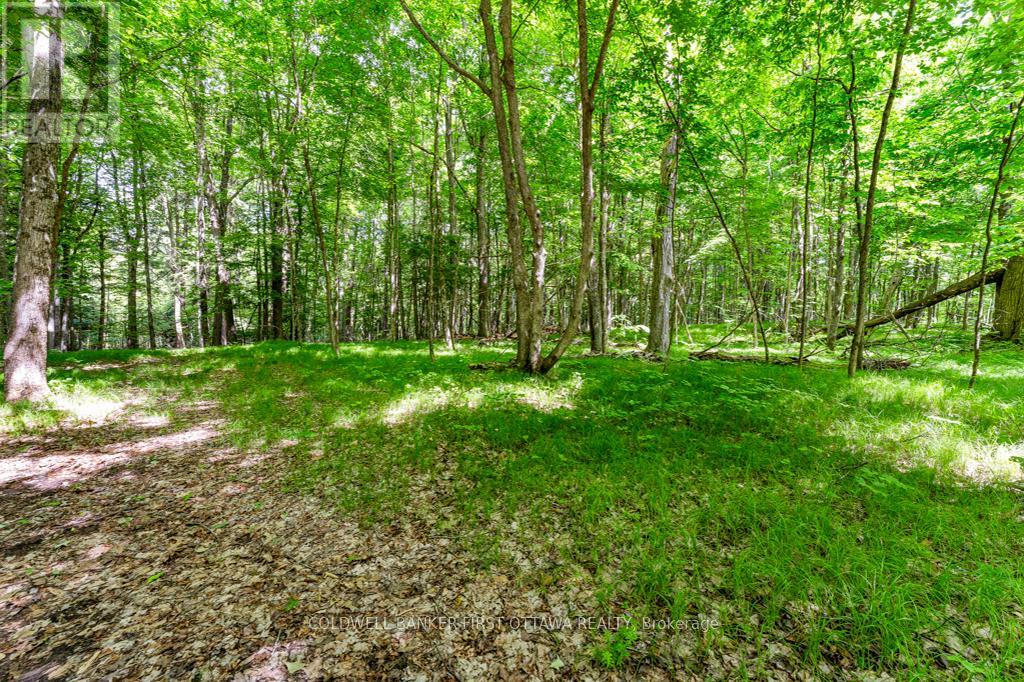 1102 Ebbs Bay Road Property Photo 35