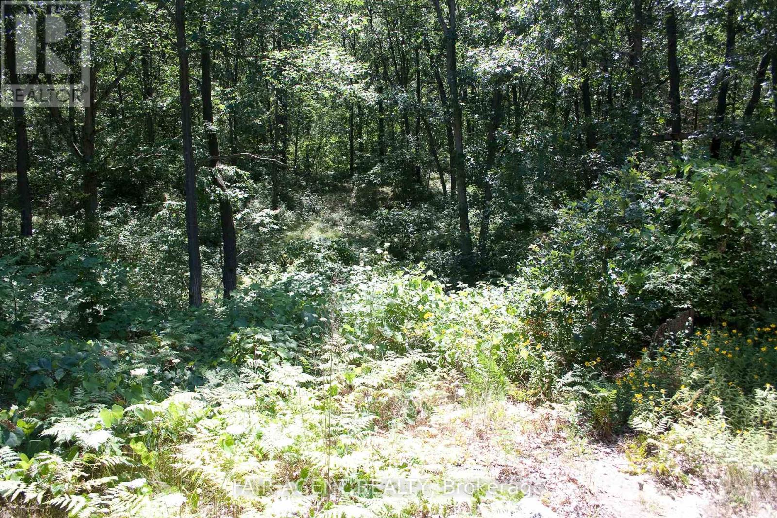10267 Daniel Avenue Property Photo 3