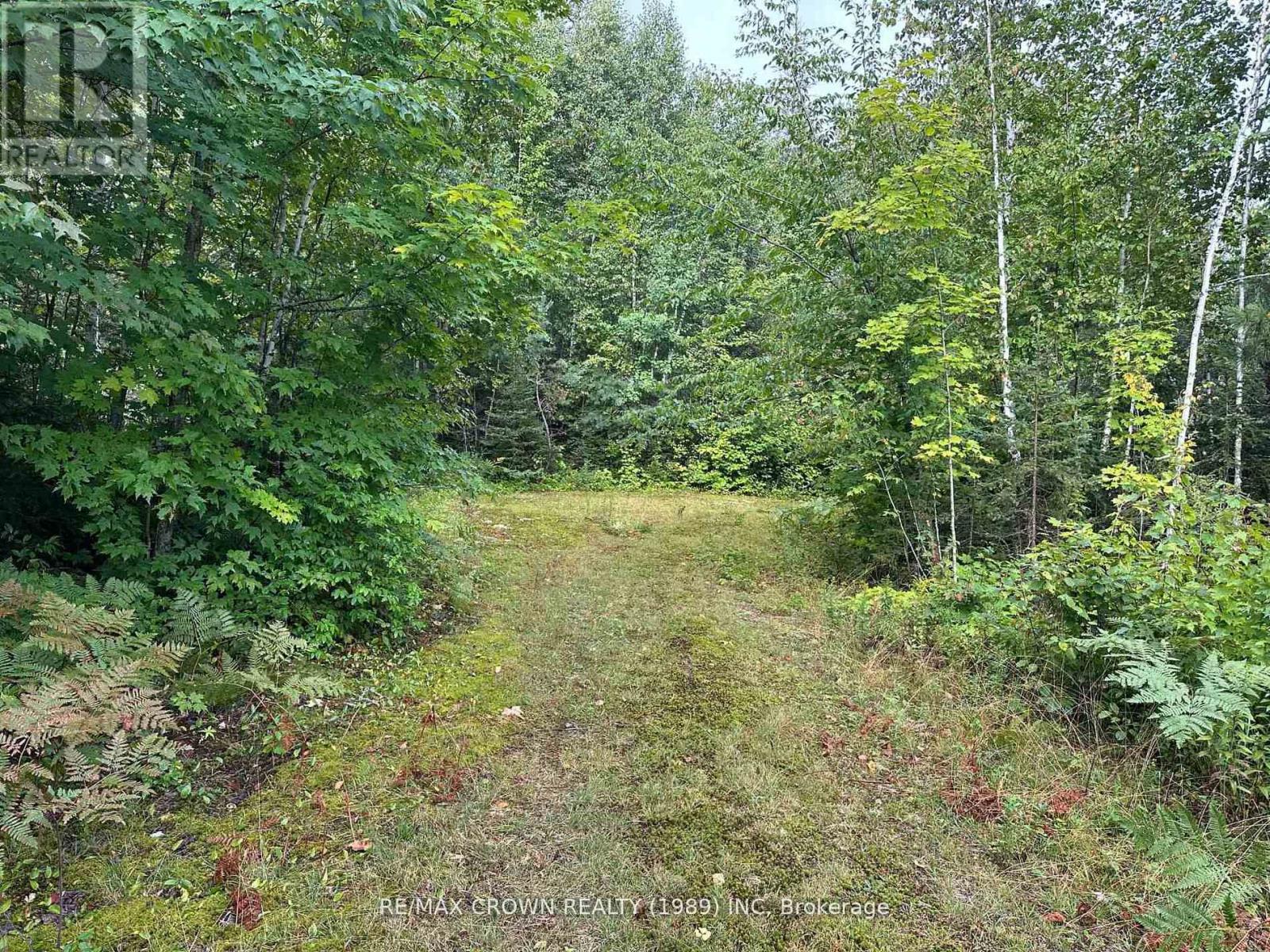 212 Weiler Line Property Photo 19