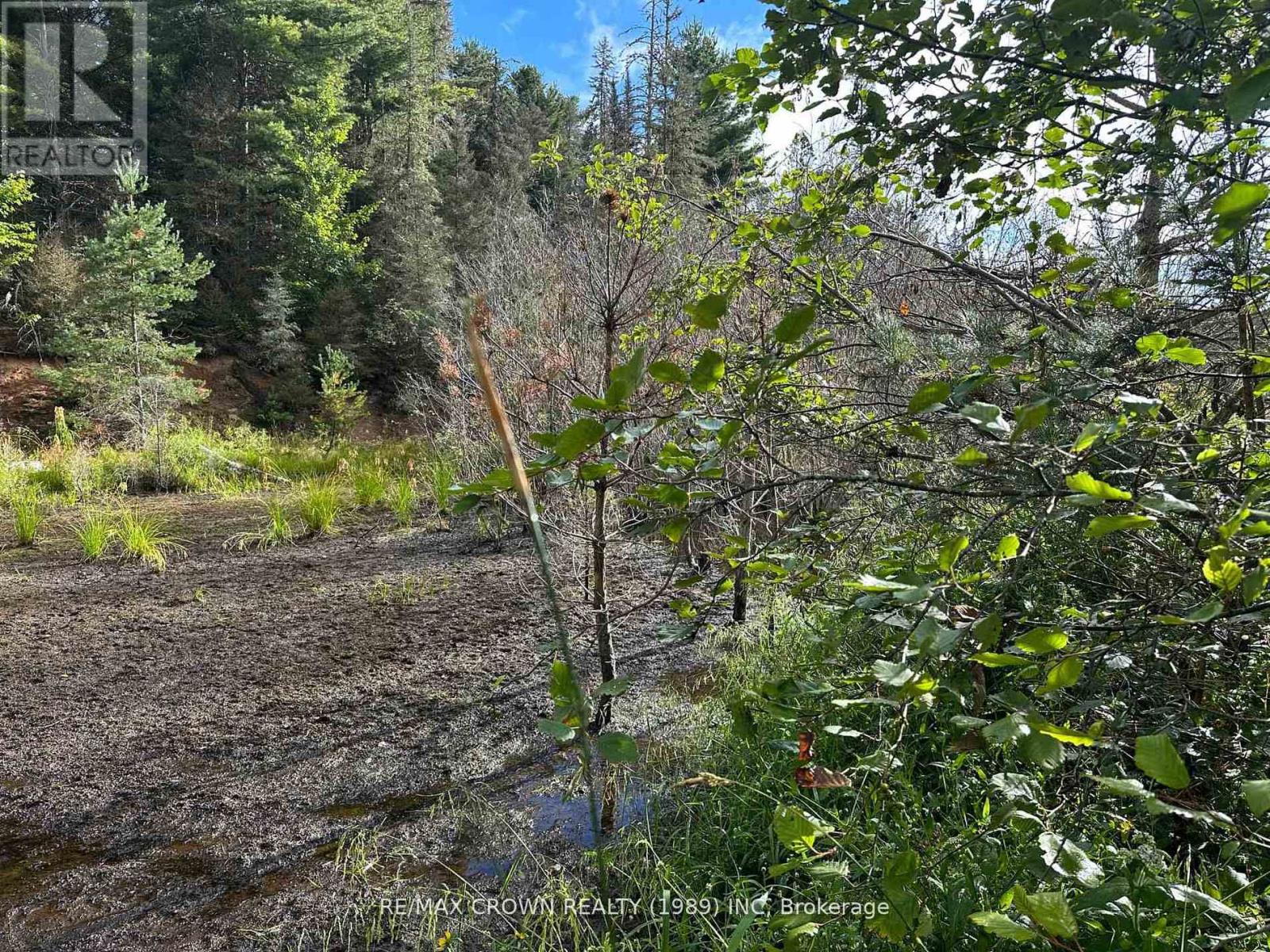 212 Weiler Line Property Photo 21
