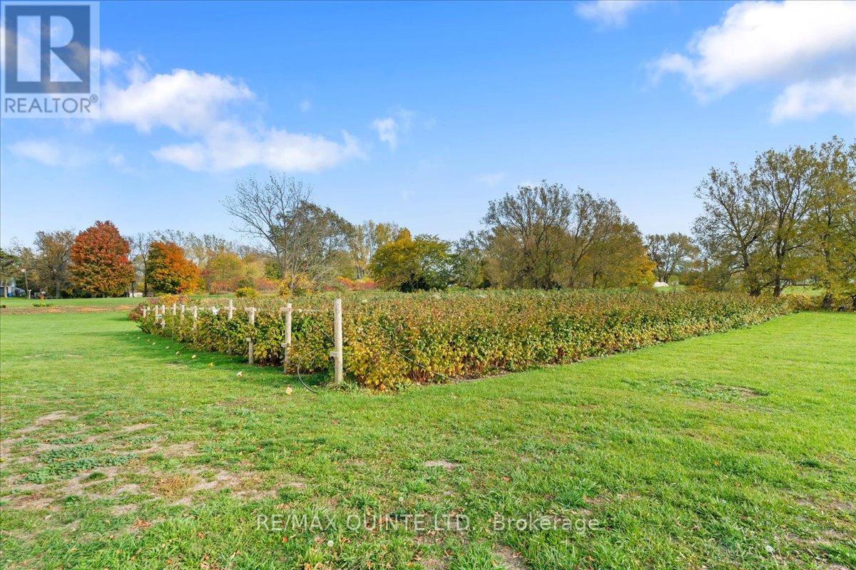 15775 Loyalist Parkway Property Photo 33