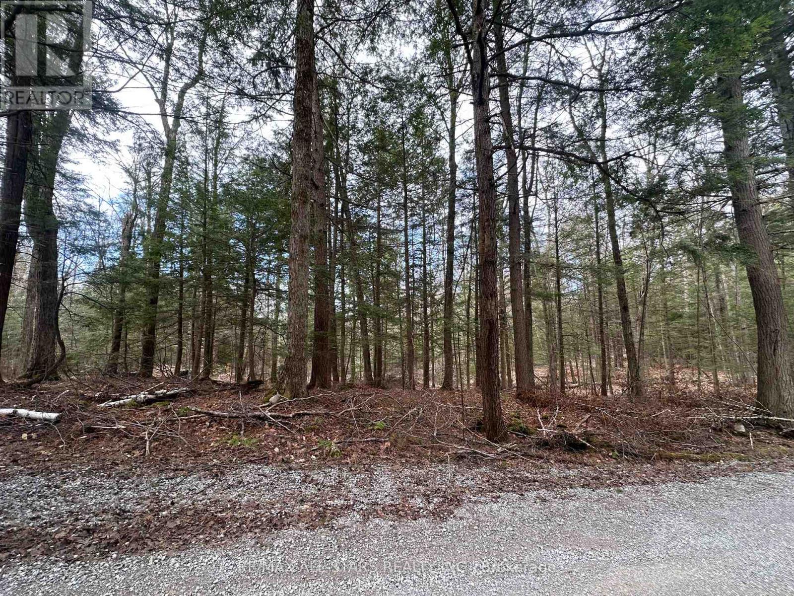 0 Fire Route 267 Property Photo 6