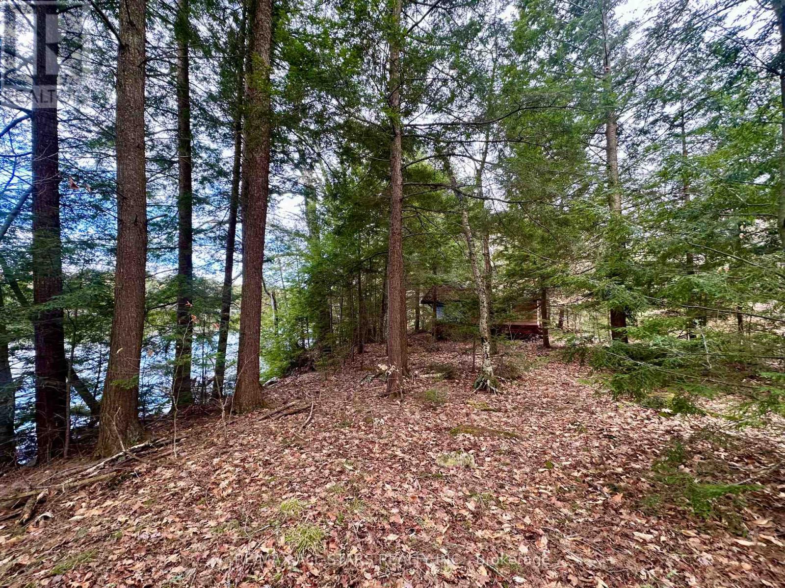 0 Fire Route 267 Property Photo 7