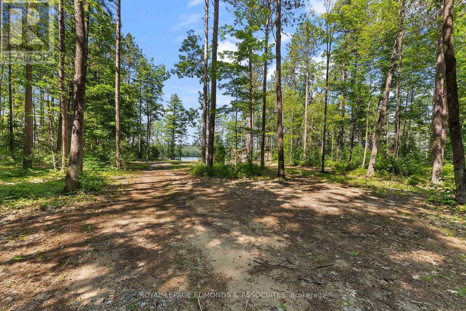 290 Hennessy Trail Property Photo 17