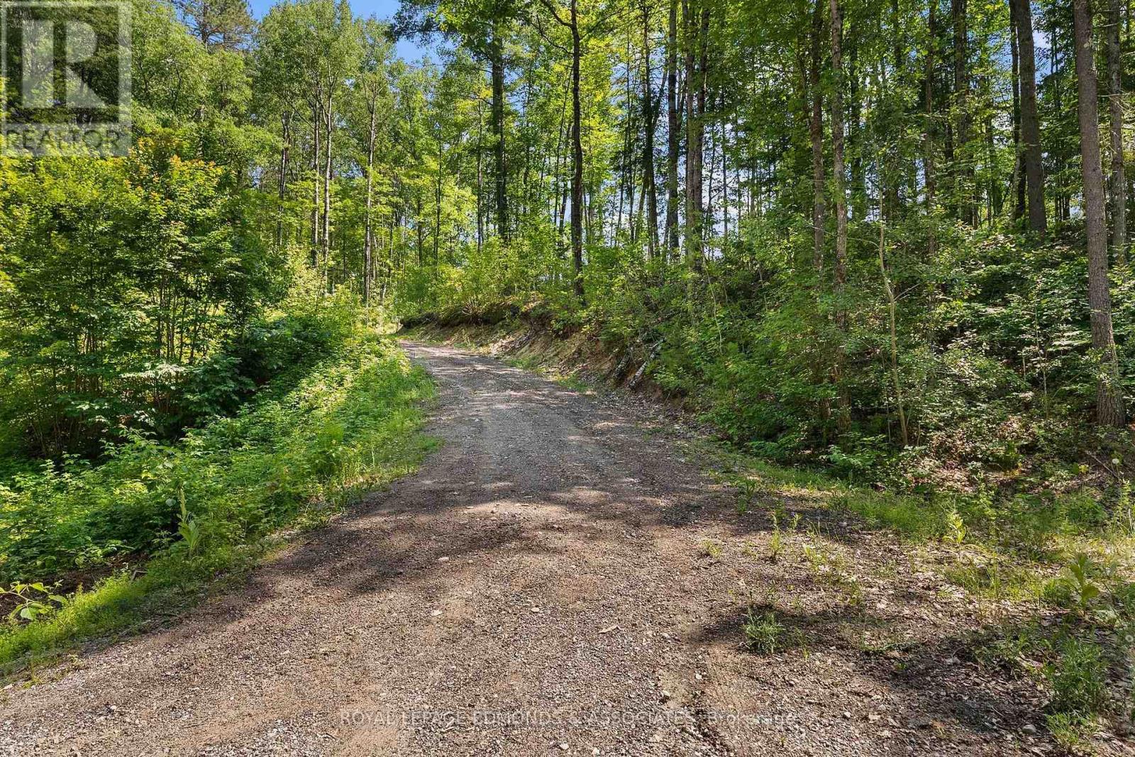 290 Hennessy Trail Property Photo 18