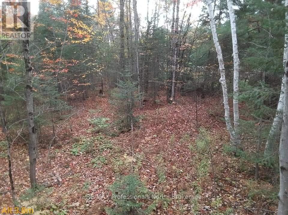 Tbd Gelert Road Property Photo 2