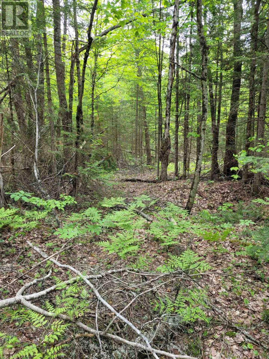 Tbd Gelert Road Property Photo 3