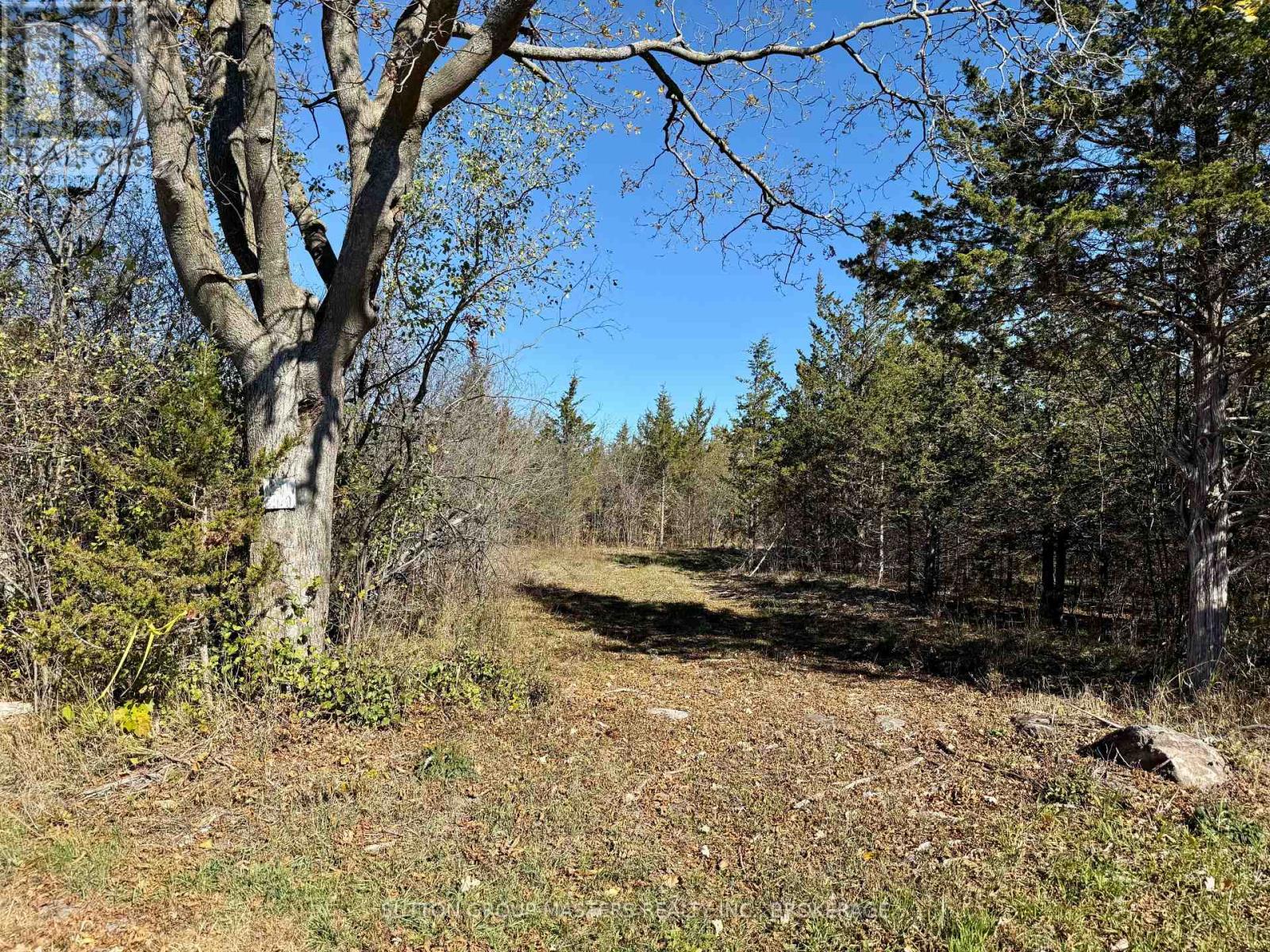 LOT 3 GALBRAITH GROVE ROAD Property Photo 1