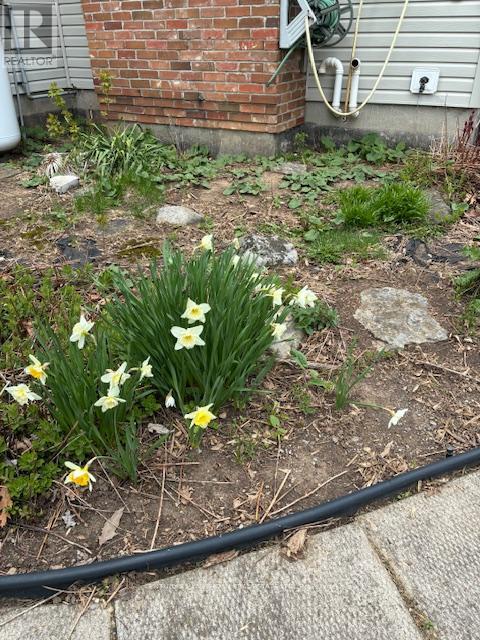 51 B Jericho Road Property Photo 8