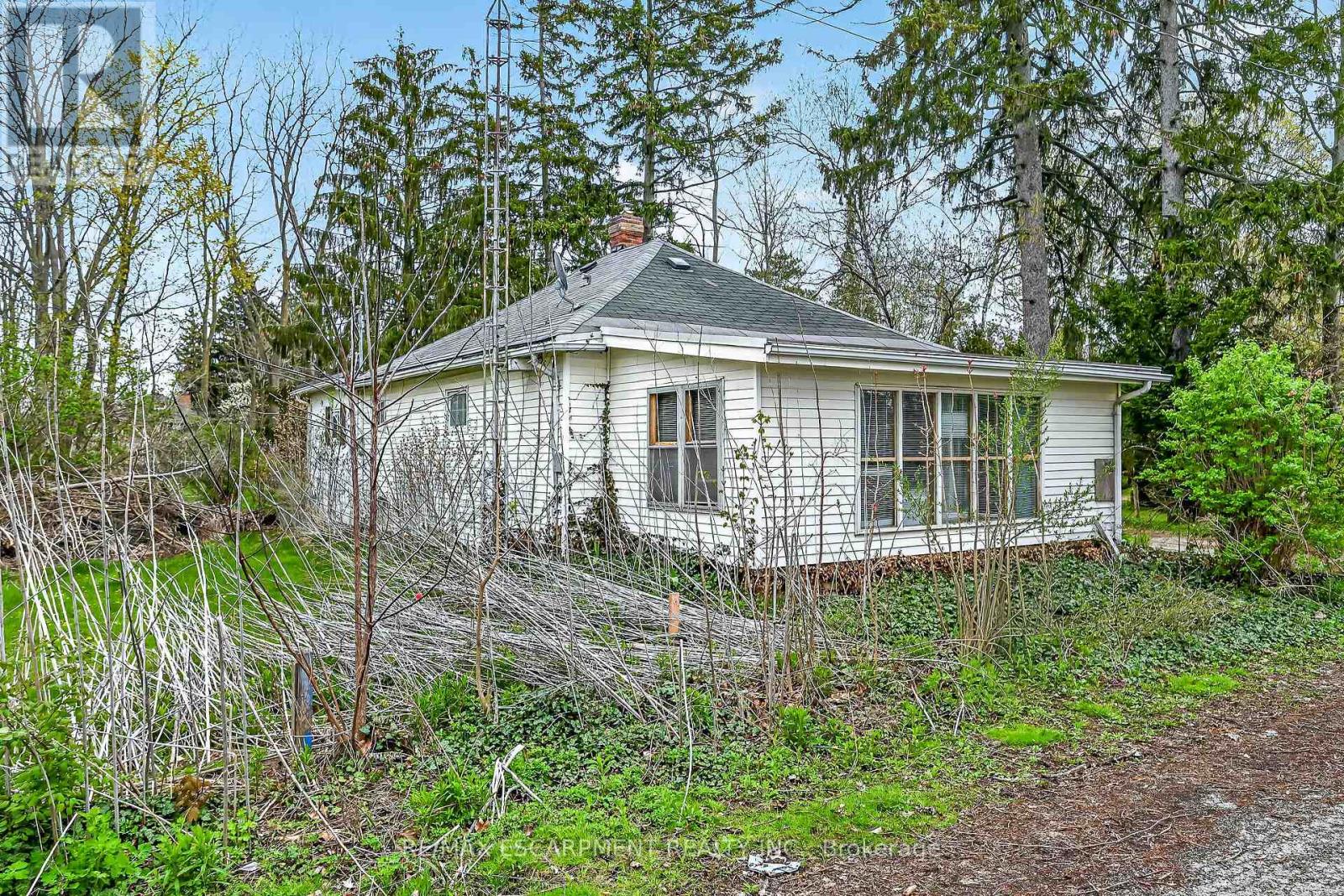 313 John Street Property Photo 36