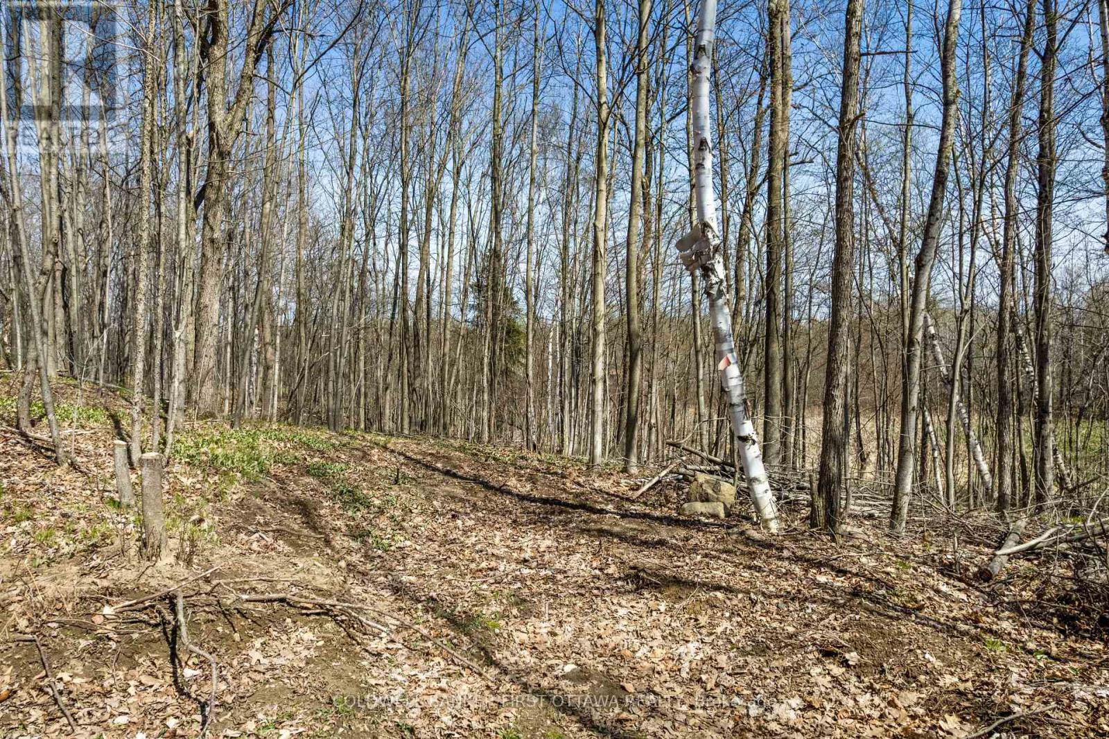 1089 Wagner Road Property Photo 17