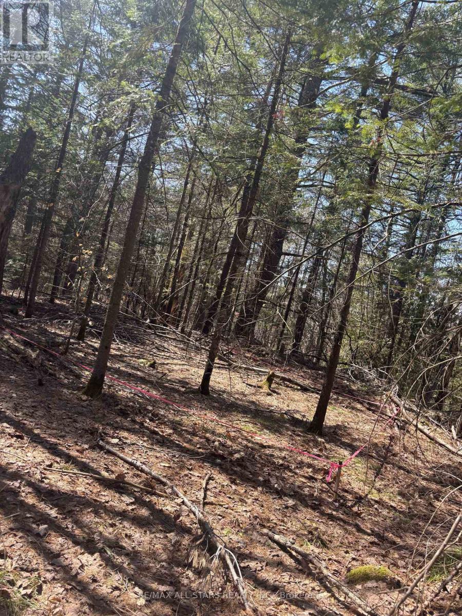 0 Kirkpatrick Lane Property Photo 1