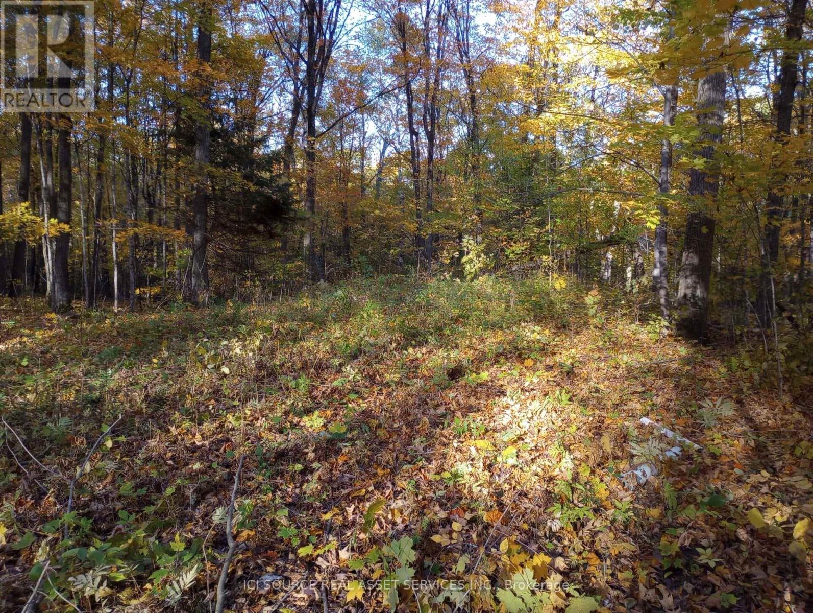 326 South River Road Property Photo 16