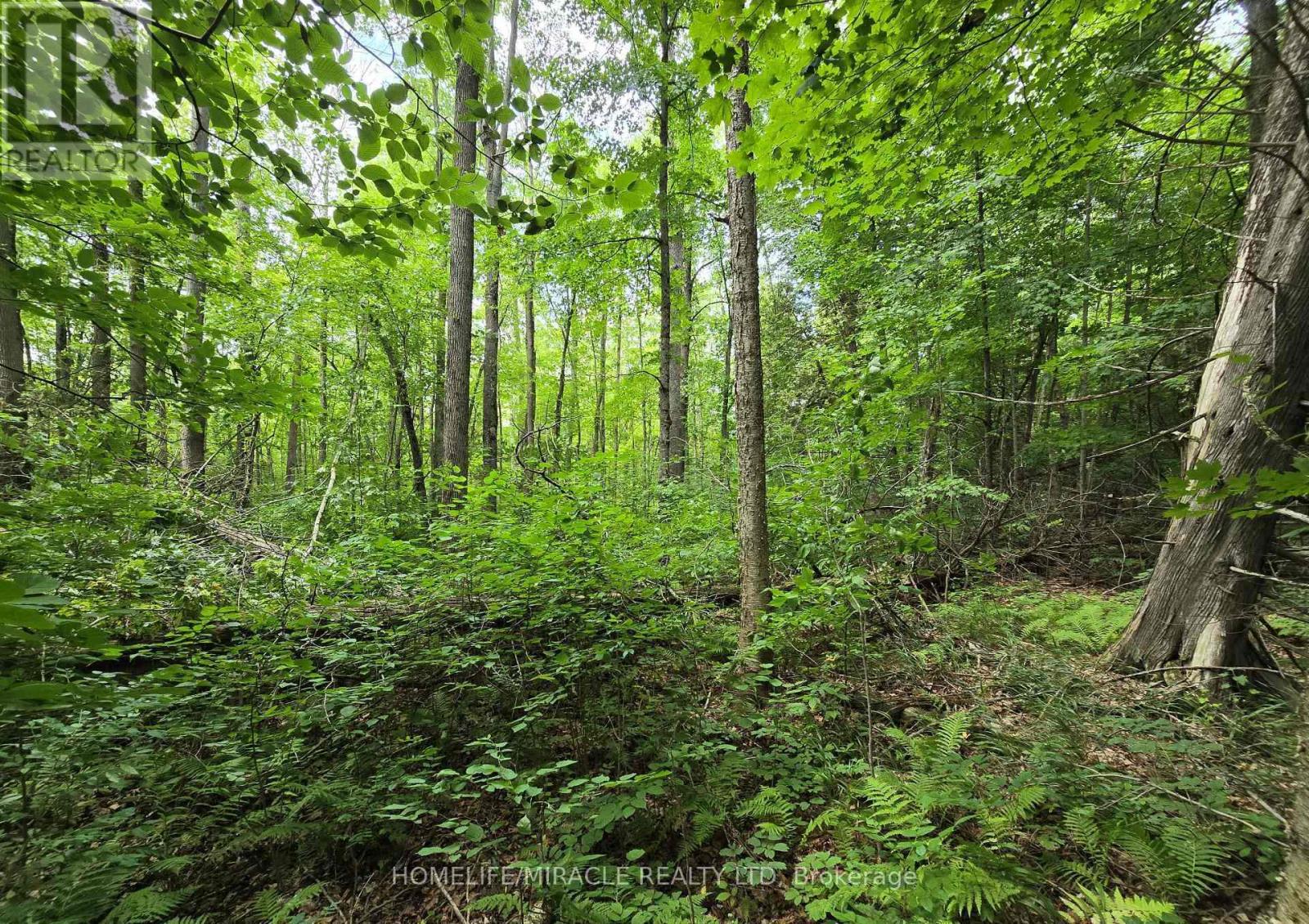 000 Cedar Sands Road Property Photo 1