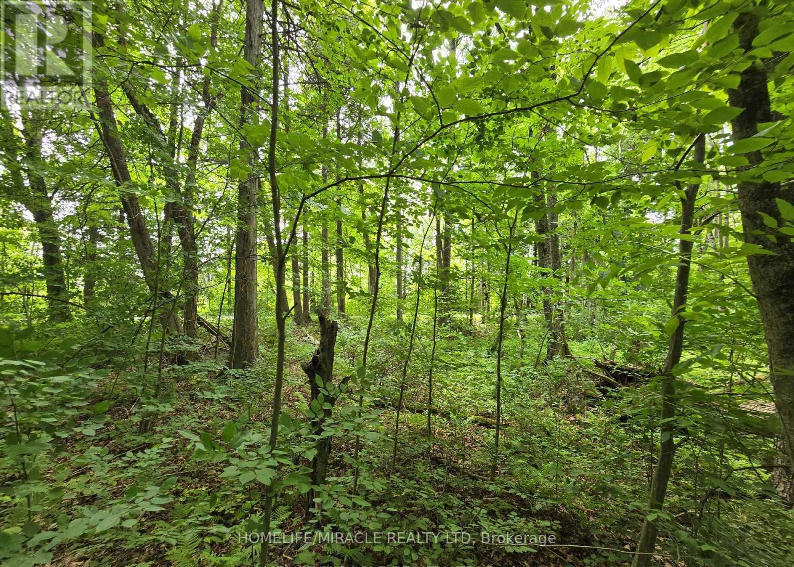 000 Cedar Sands Road Property Photo 2
