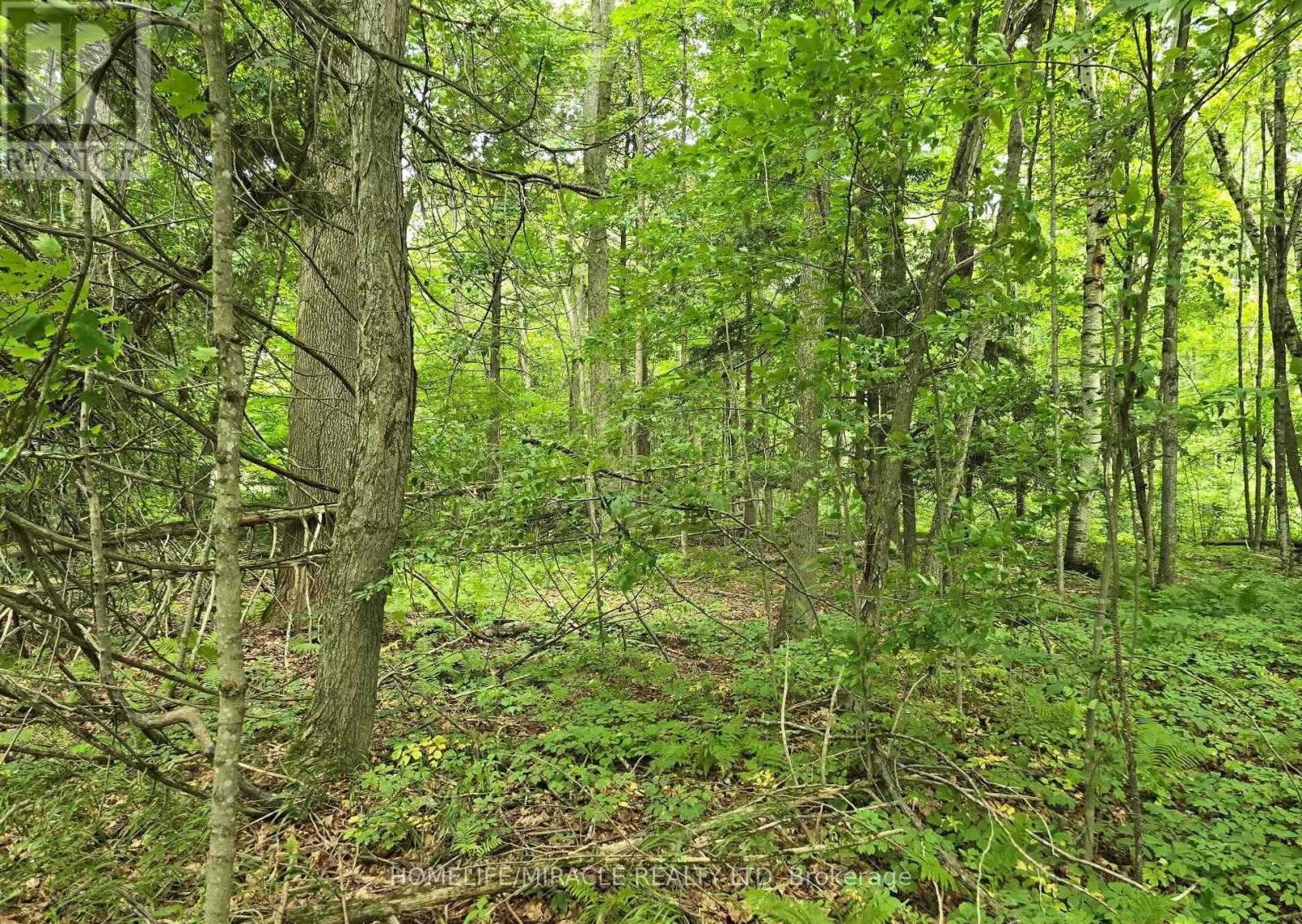 000 Cedar Sands Road Property Photo 3