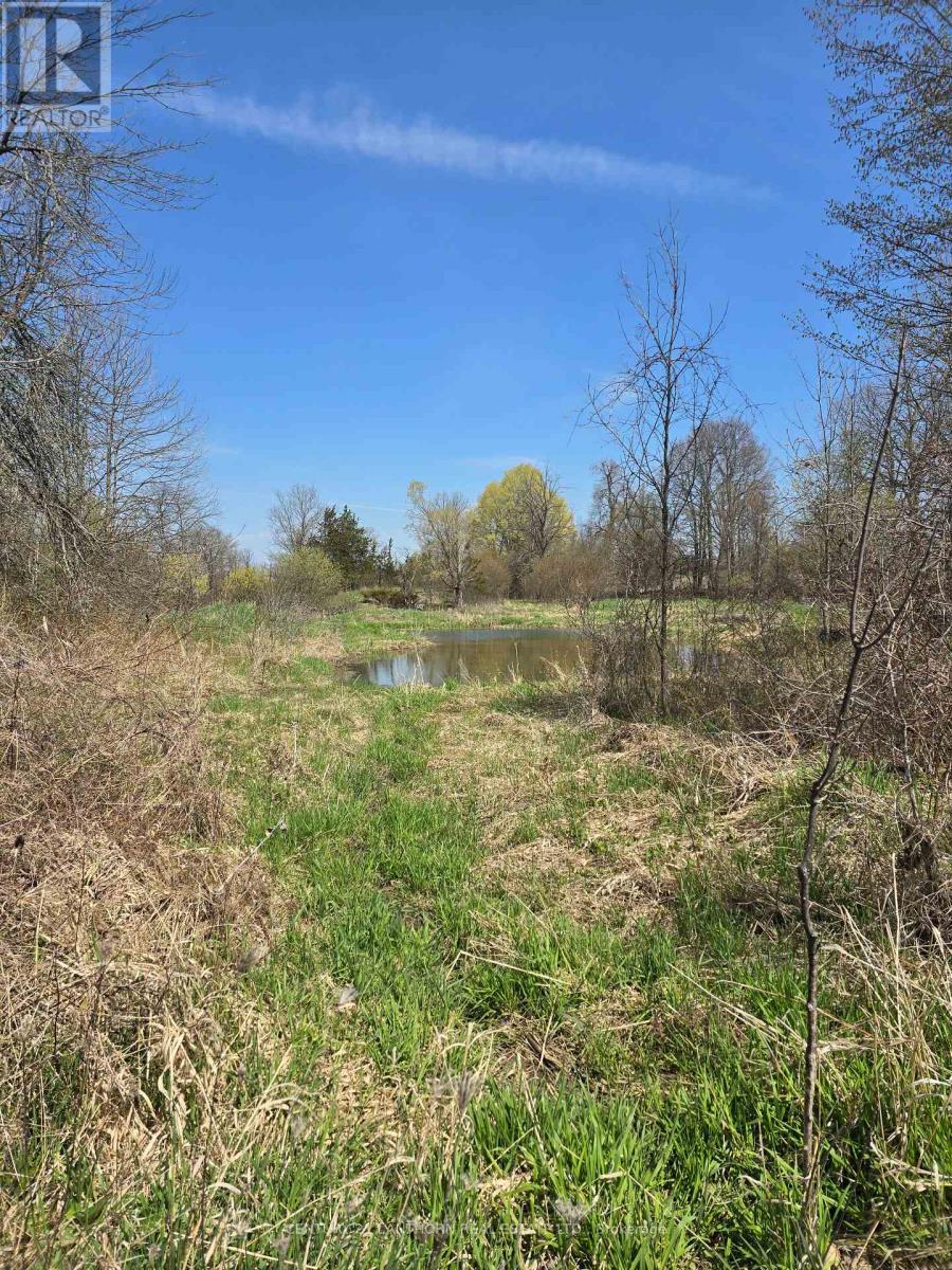 0 Windmill Road Property Photo 15