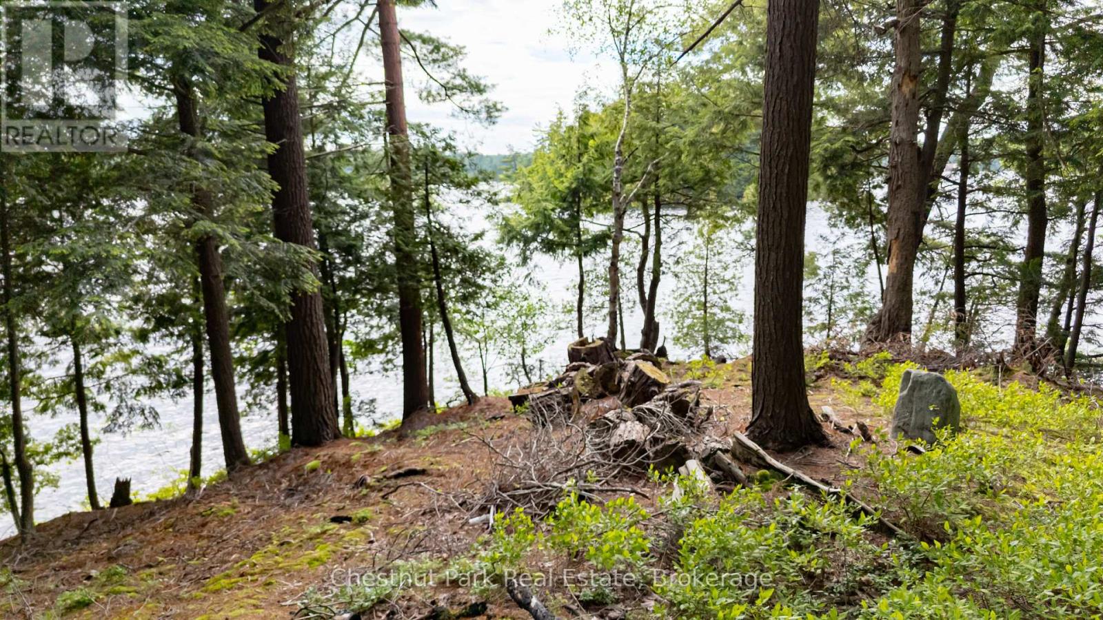 0 Meda Island Lot 3 Property Photo 3