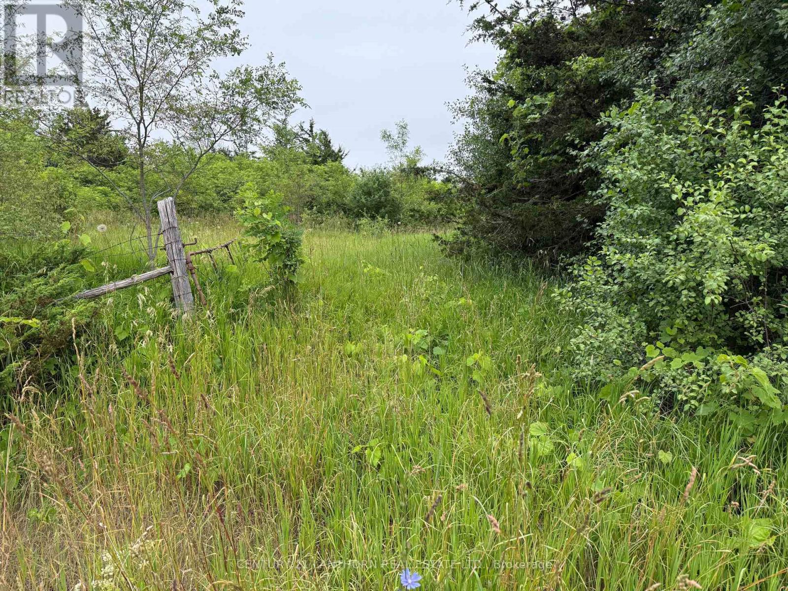 Between 72 & 337 County 24 Road Property Photo 12