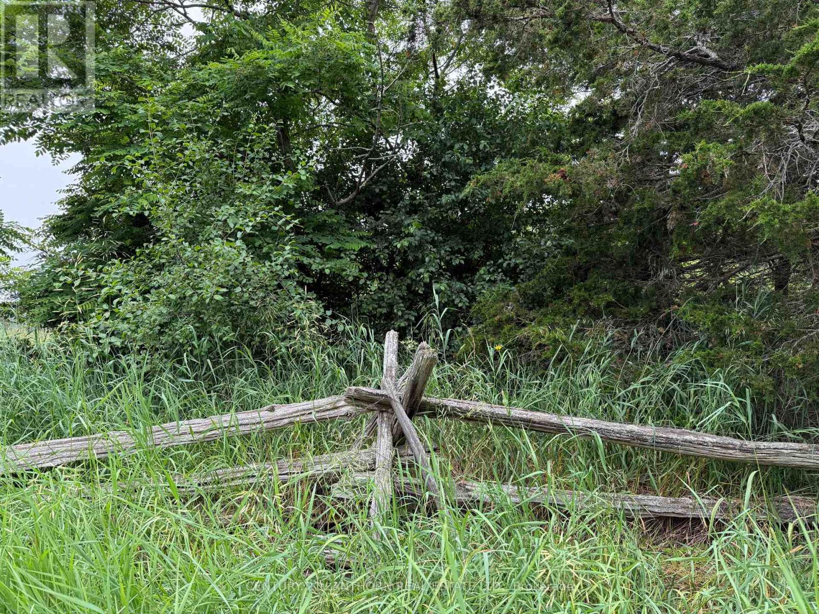 Between 72 & 337 County 24 Road Property Photo 13