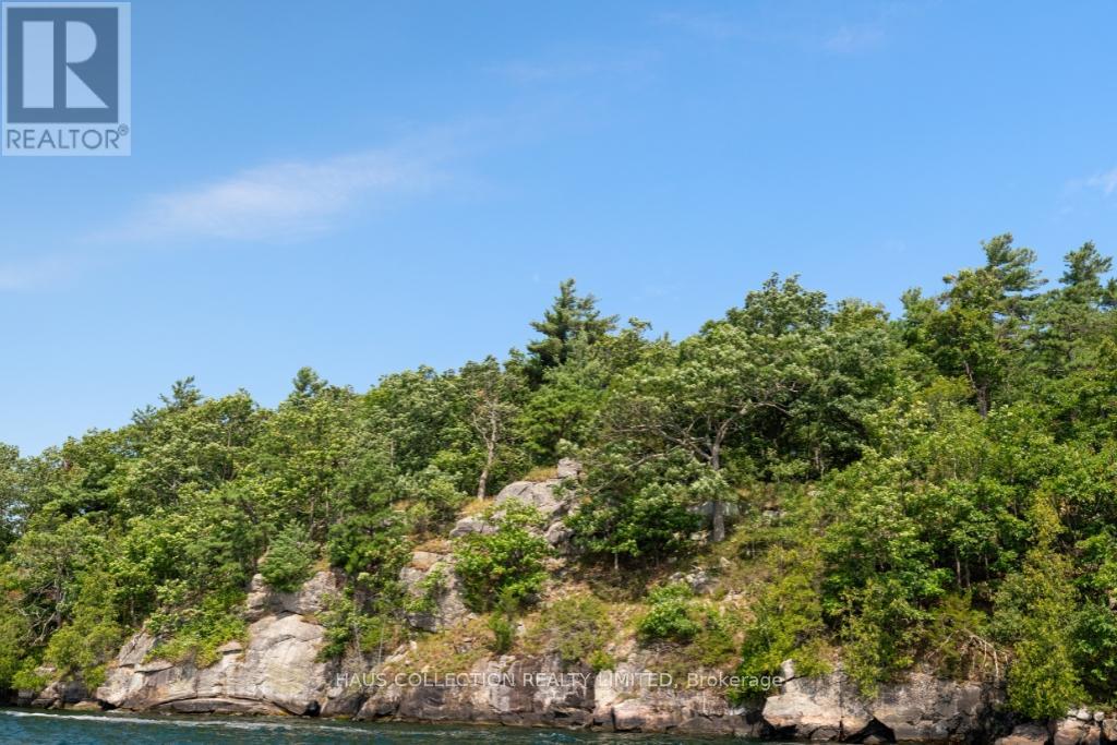1 Little Grenadier Island Property Photo 37