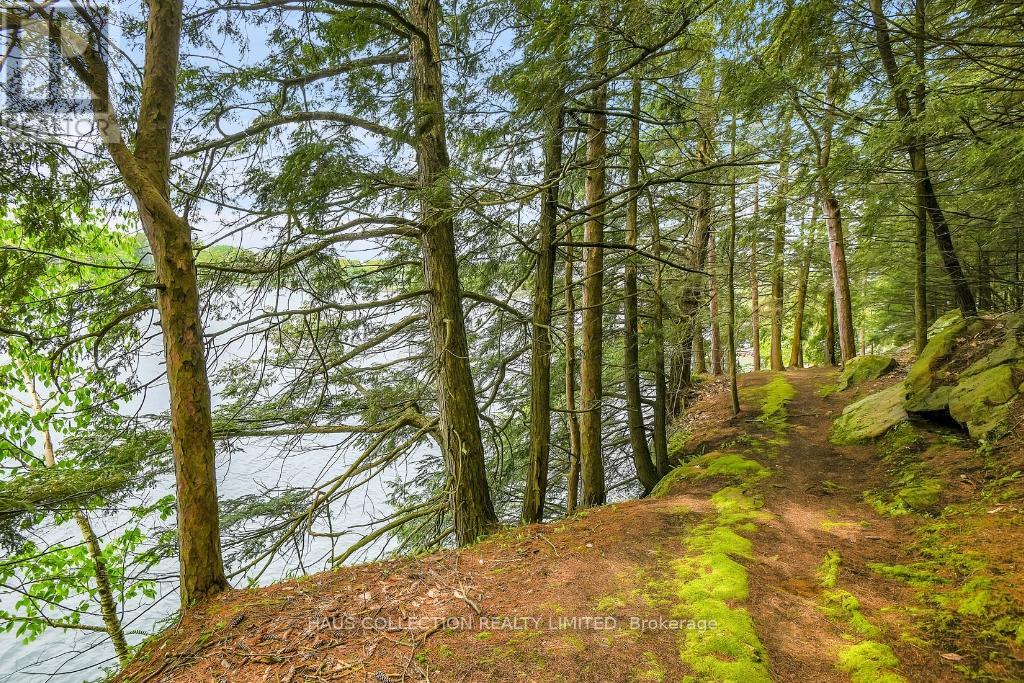 1 Little Grenadier Island Property Photo 39