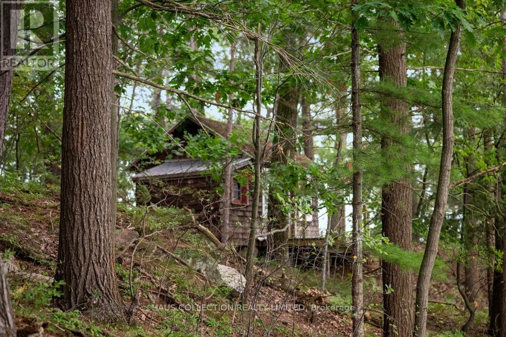 1 Little Grenadier Island Property Photo 40
