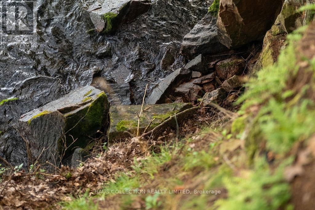 1 Little Grenadier Island Property Photo 41