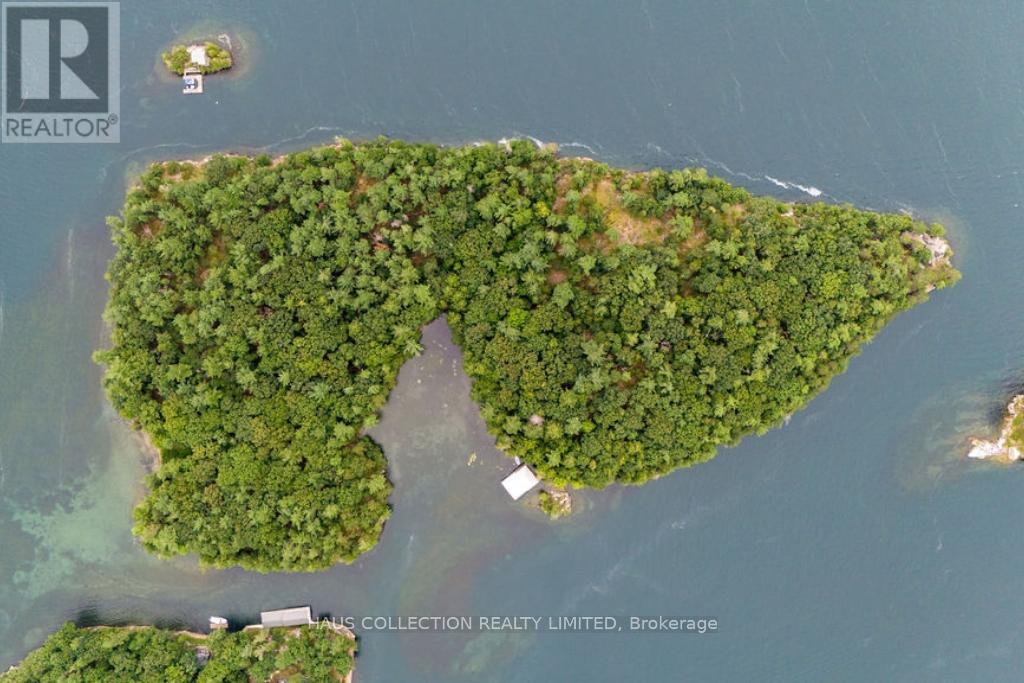 1 Little Grenadier Island Property Photo 43